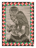 Teide - Owl 1